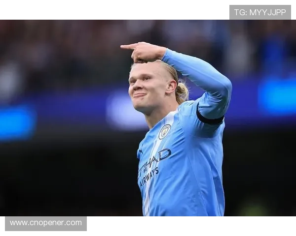 哈兰德怒斥曼奇尼不当行为多纳鲁马出面调解冲突