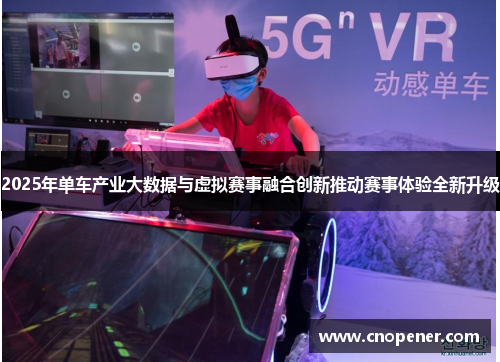 2025年单车产业大数据与虚拟赛事融合创新推动赛事体验全新升级